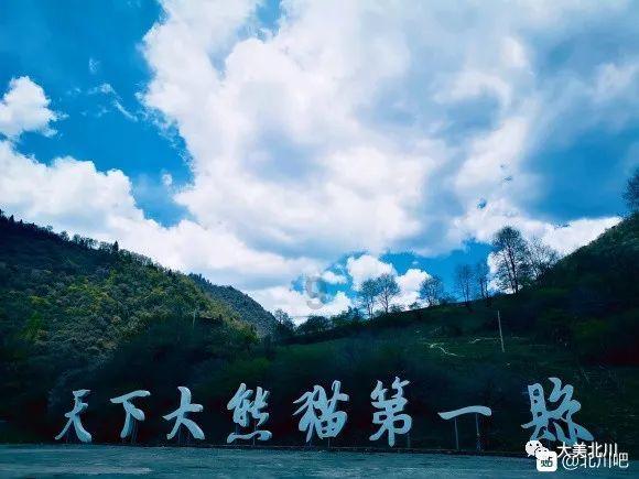 消息人士：将对乌海军在塞瓦斯托波尔残留的舰艇进行回收处理