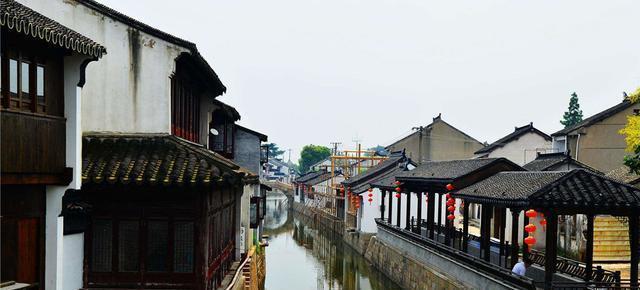 平安产险通辽|让本地人都“吃醋”的花式宠法,哈尔滨这波上大分